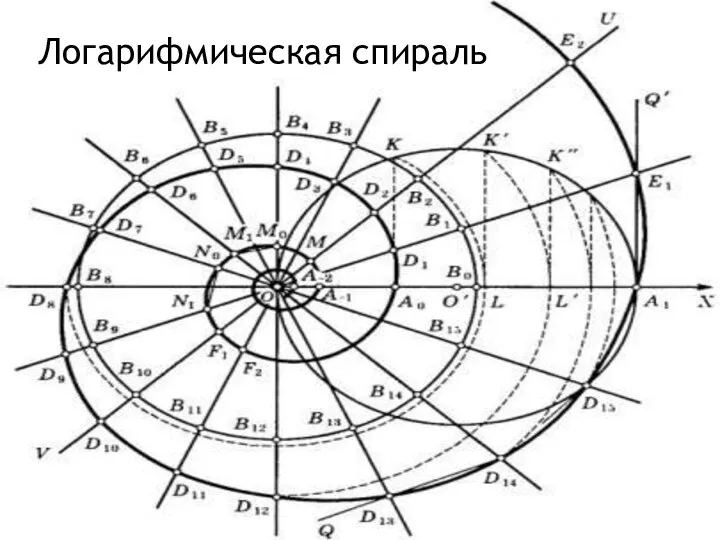 Логарифмическая спираль