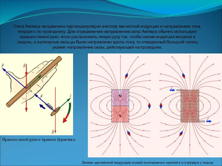 Сила Ампера направлена перпендикулярно вектору магнитной индукции и направлению тока, текущего по