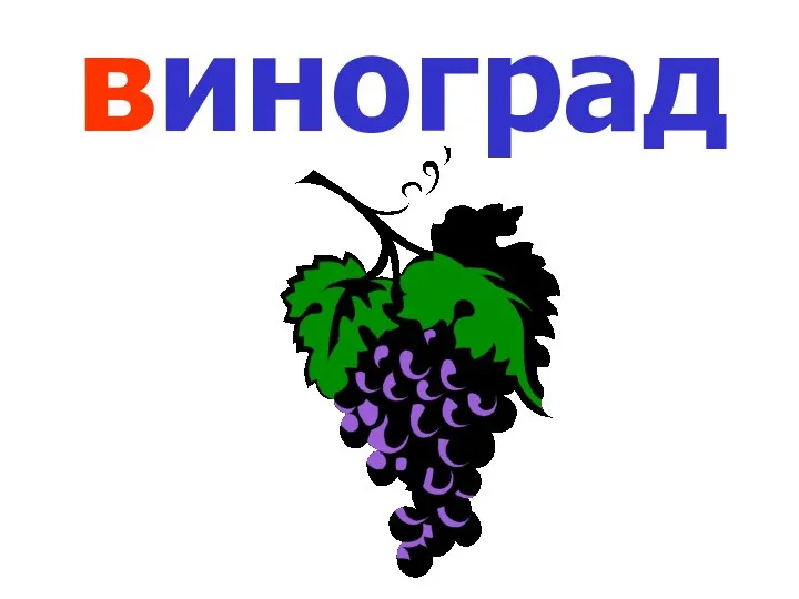 виноград