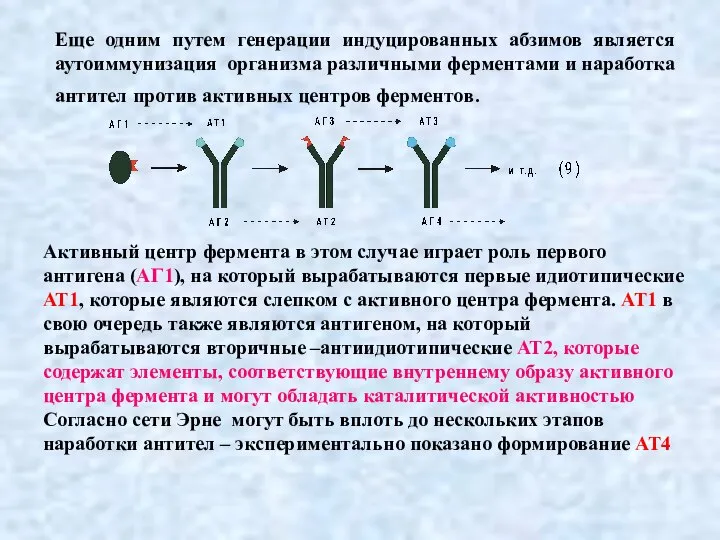 Еще одним путем генерации индуцированных абзимов является аутоиммунизация организма различными ферментами и