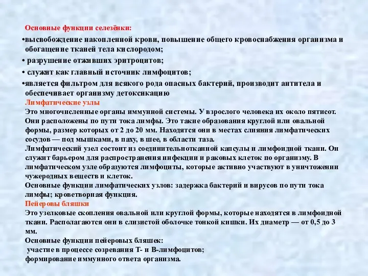 Основные функции селезёнки: высвобождение накопленной крови, повышение общего кровоснабжения организма и обогащение