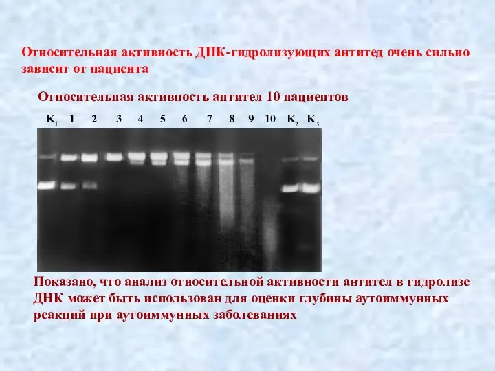 Показано, что анализ относительной активности антител в гидролизе ДНК может быть использован