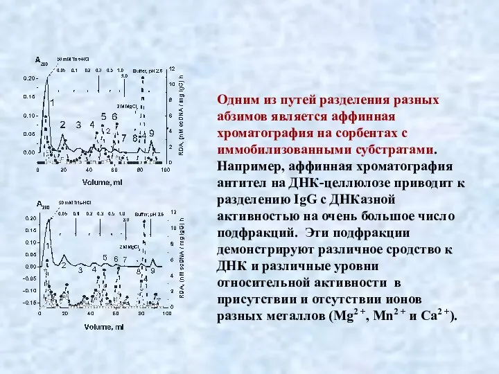 Одним из путей разделения разных абзимов является аффинная хроматография на сорбентах с