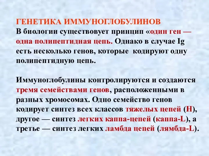 ГЕНЕТИКА ИММУНОГЛОБУЛИНОВ В биологии существовует принцип «один ген — одна полипептидная цепь.