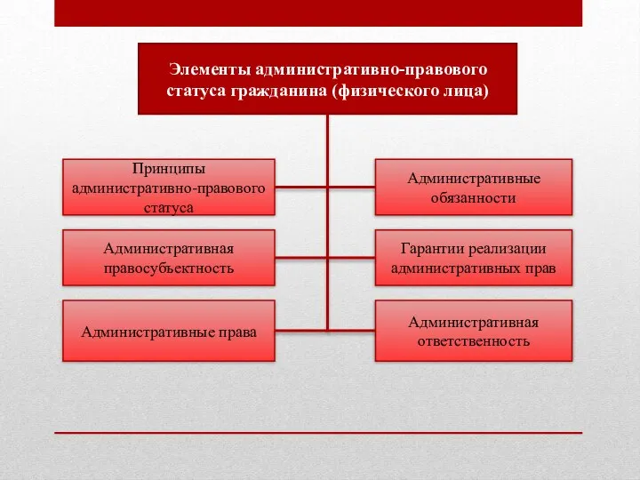 Элементы административно-правового статуса гражданина (физического лица) Принципы административно-правового статуса Административная правосубъектность Административные