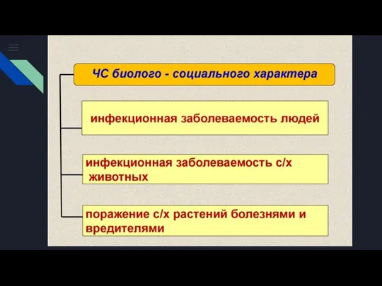 ЧС биолого-социального характера