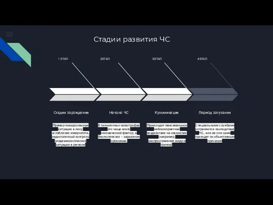 Стадии развития ЧС Пример:пожароопасная ситуация в лесу, ослабление иммунитета, недостаточный контроль эпидемиологической