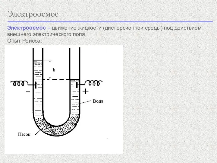 Электроосмос Электроосмос – движение жидкости (дисперсионной среды) под действием внешнего электрического поля. Опыт Ре йсса: