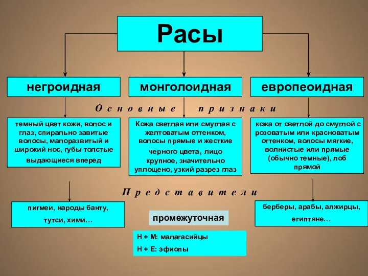 Расы промежуточная