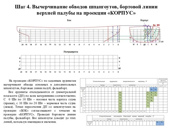 Шаг 4. Вычерчивание обводов шпангоутов, бортовой линии верхней палубы на проекции «КОРПУС»