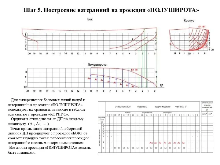 Шаг 5. Построение ватерлиний на проекции «ПОЛУШИРОТА» Для вычерчивания бортовых линий палуб