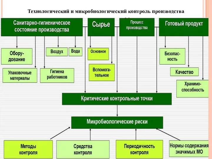 Технологический и микробиологический контроль производства