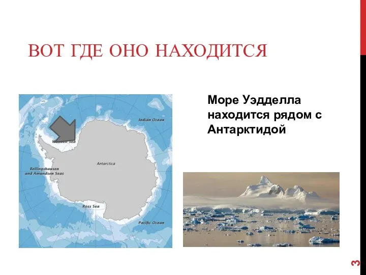 ВОТ ГДЕ ОНО НАХОДИТСЯ Море Уэдделла находится рядом с Антарктидой