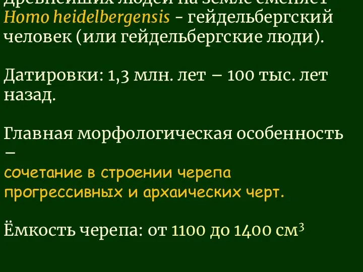 Древнейших людей на земле сменяет Homo heidelbergensis - гейдельбергский человек (или гейдельбергские