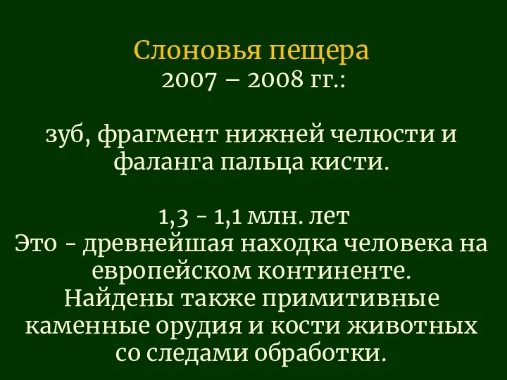 Слоновья пещера 2007 – 2008 гг.: зуб, фрагмент нижней челюсти и фаланга