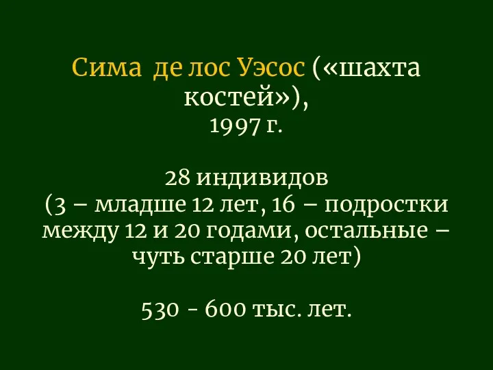 Сима де лос Уэсос («шахта костей»), 1997 г. 28 индивидов (3 –