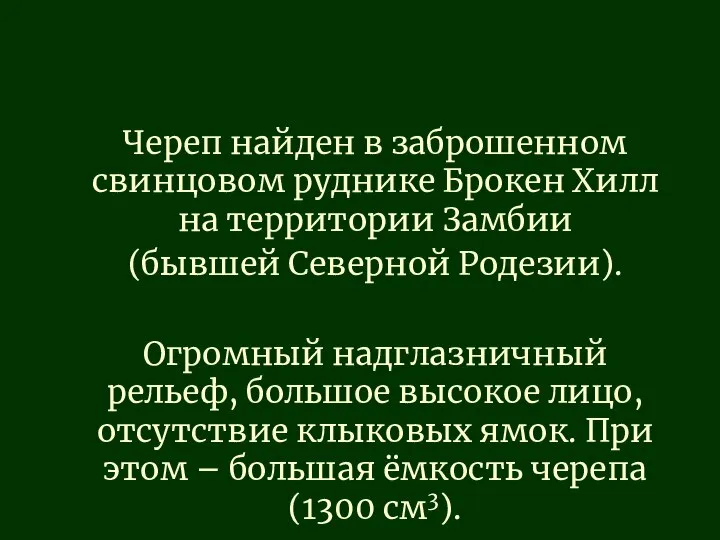 Череп найден в заброшенном свинцовом руднике Брокен Хилл на территории Замбии (бывшей