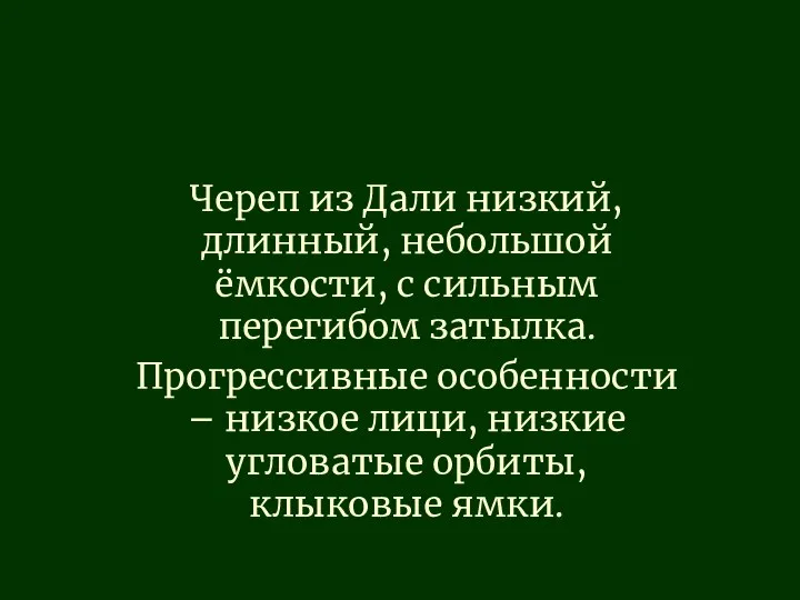 Череп из Дали низкий, длинный, небольшой ёмкости, с сильным перегибом затылка. Прогрессивные