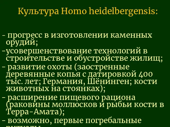 Культура Homo heidelbergensis: прогресс в изготовлении каменных орудий; усовершенствование технологий в строительстве