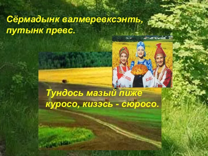 Сёрмадынк валмеревксэнть, путынк превс. Тундось мазый пиже куросо, кизэсь - сюросо.