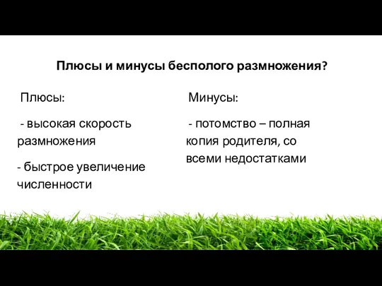 Плюсы: - высокая скорость размножения - быстрое увеличение численности Плюсы и минусы