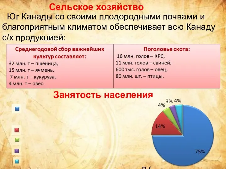 Юг Канады со своими плодородными почвами и благоприятным климатом обеспечивает всю Канаду