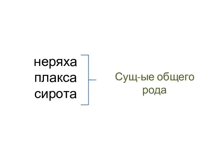 неряха плакса сирота Сущ-ые общего рода