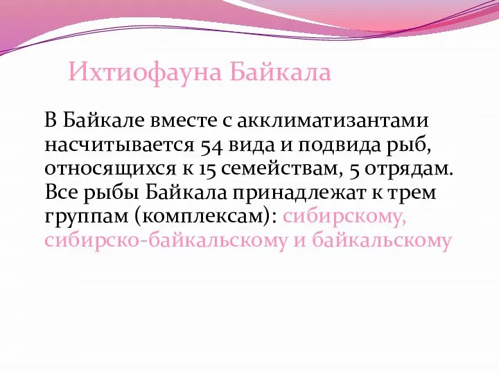 Ихтиофауна Байкала В Байкале вместе с акклиматизантами насчитывается 54 вида и подвида