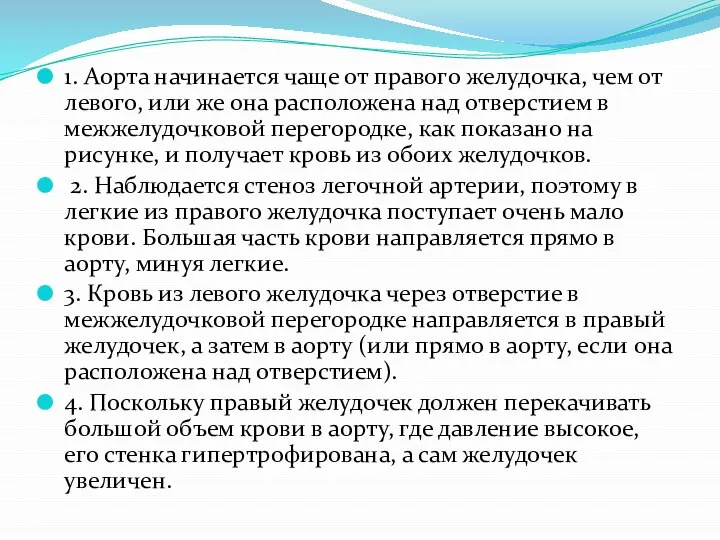 1. Аорта начинается чаще от правого желудочка, чем от левого, или же