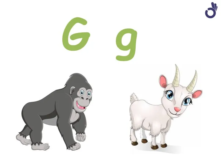 G g