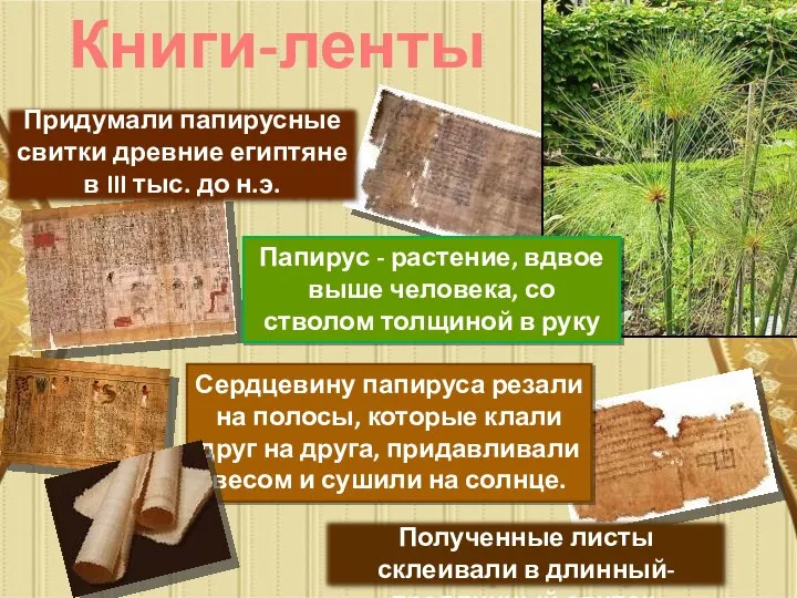 Книги-ленты Папирус - растение, вдвое выше человека, со стволом толщиной в руку