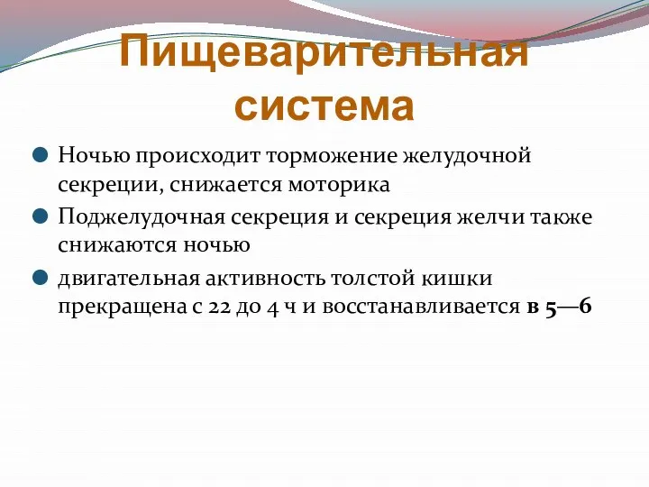 Пищеварительная система Ночью происходит торможение желудочной секреции, снижается моторика Поджелудочная секреция и