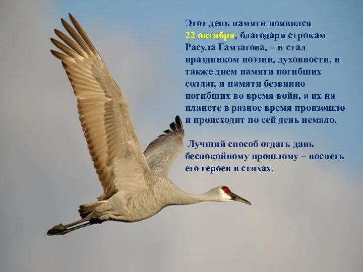 Этот день памяти появился 22 октября, благодаря строкам Расула Гамзатова, – и