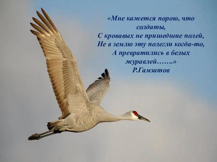 «Мне кажется порою, что солдаты, С кровавых не пришедшие полей, Не в