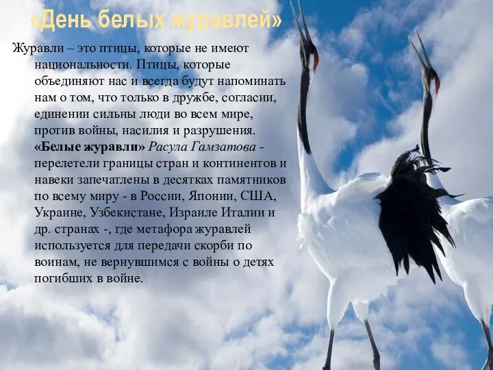 «День белых журавлей» Журавли – это птицы, которые не имеют национальности. Птицы,