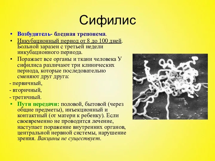 Сифилис Возбудитель- бледная трепонема. Инкубационный период от 8 до 100 дней. Больной