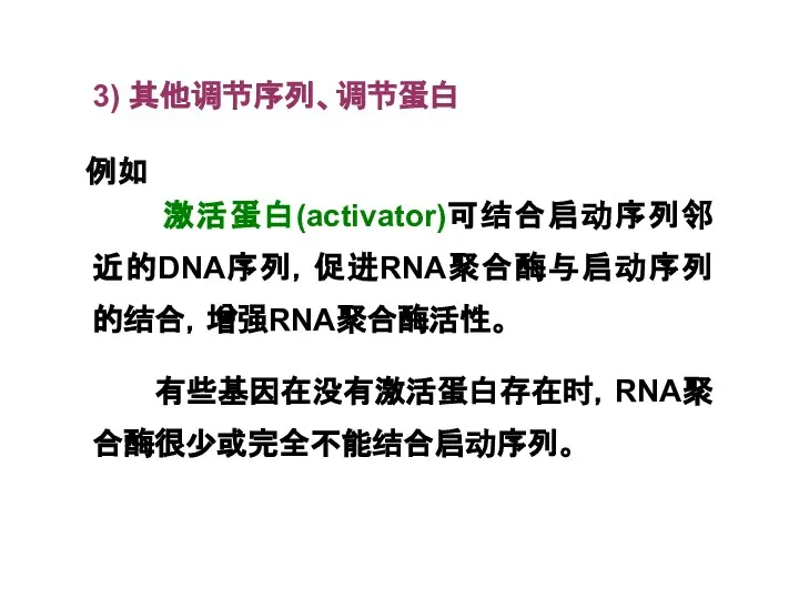 3) 其他调节序列、调节蛋白 例如 激活蛋白(activator)可结合启动序列邻近的DNA序列，促进RNA聚合酶与启动序列的结合，增强RNA聚合酶活性。 有些基因在没有激活蛋白存在时，RNA聚合酶很少或完全不能结合启动序列。