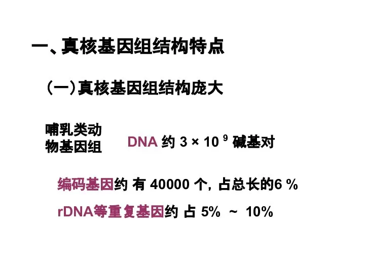 一、真核基因组结构特点 （一）真核基因组结构庞大