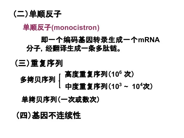 （二）单顺反子 单顺反子(monocistron) 即一个编码基因转录生成一个mRNA分子，经翻译生成一条多肽链。 （三）重复序列 （四）基因不连续性