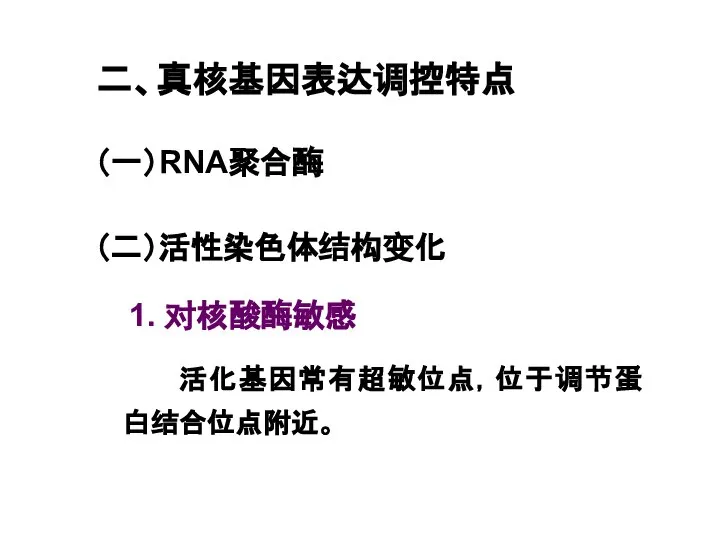 二、真核基因表达调控特点 （一）RNA聚合酶 （二）活性染色体结构变化 1. 对核酸酶敏感 活化基因常有超敏位点，位于调节蛋白结合位点附近。