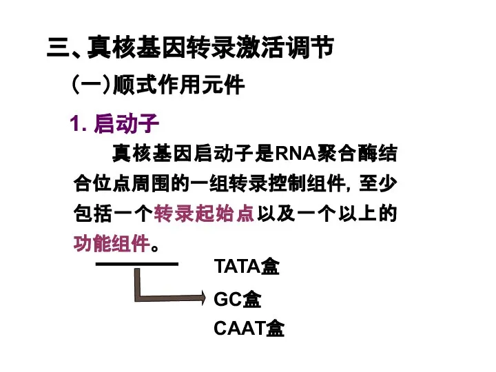 三、真核基因转录激活调节 （一）顺式作用元件 1. 启动子 真核基因启动子是RNA聚合酶结合位点周围的一组转录控制组件，至少包括一个转录起始点以及一个以上的功能组件。