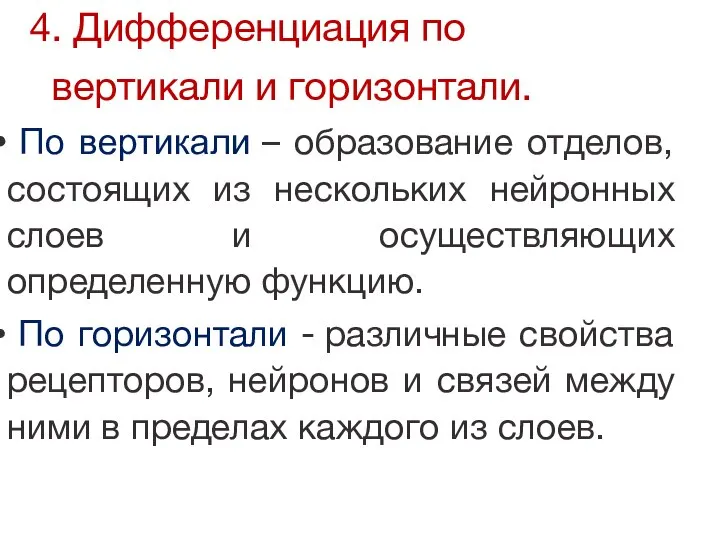 4. Дифференциация по вертикали и горизонтали. По вертикали – образование отделов, состоящих