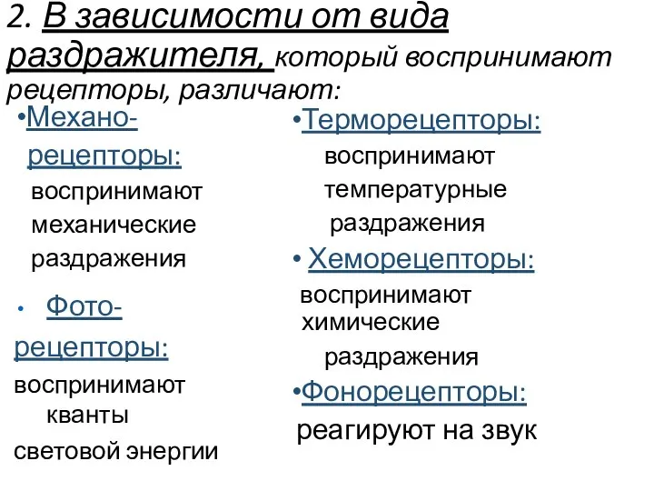 2. В зависимости от вида раздражителя, который воспринимают рецепторы, различают: Механо- рецепторы: