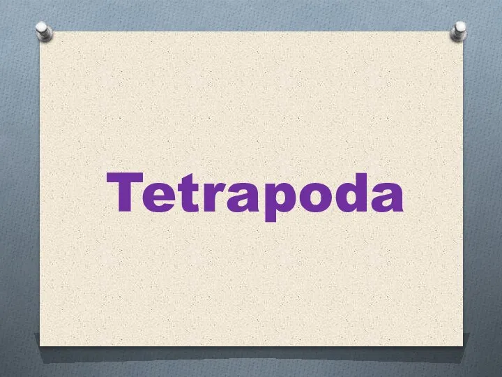 Tetrapoda