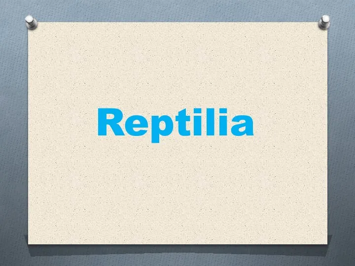 Reptilia