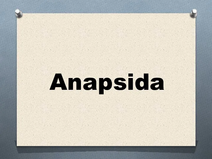Anapsida