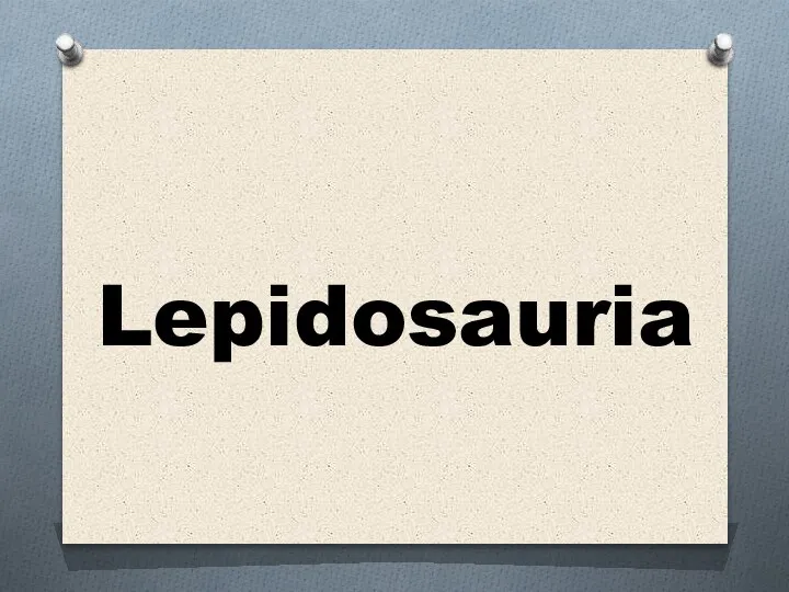 Lepidosauria
