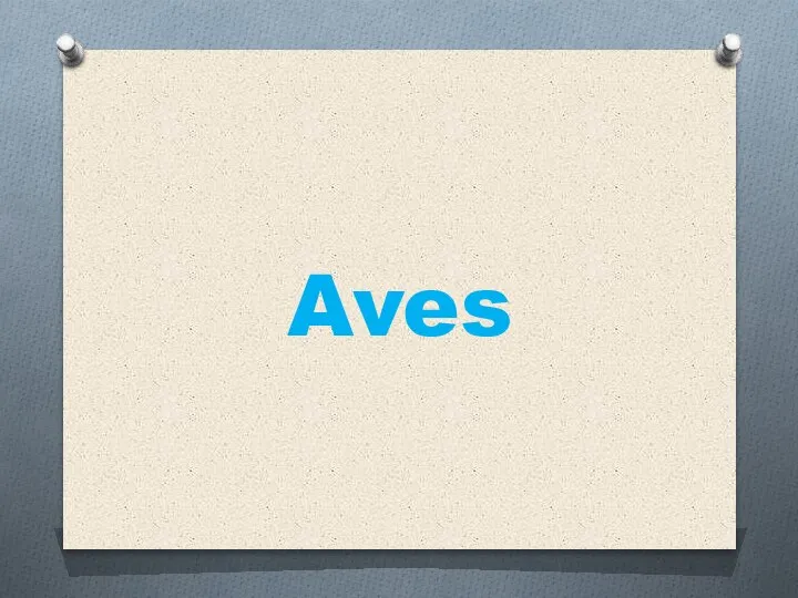 Aves