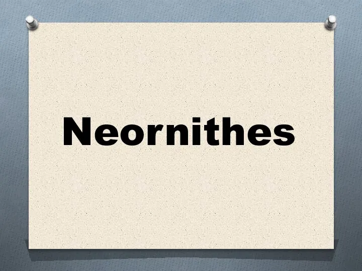 Neornithes