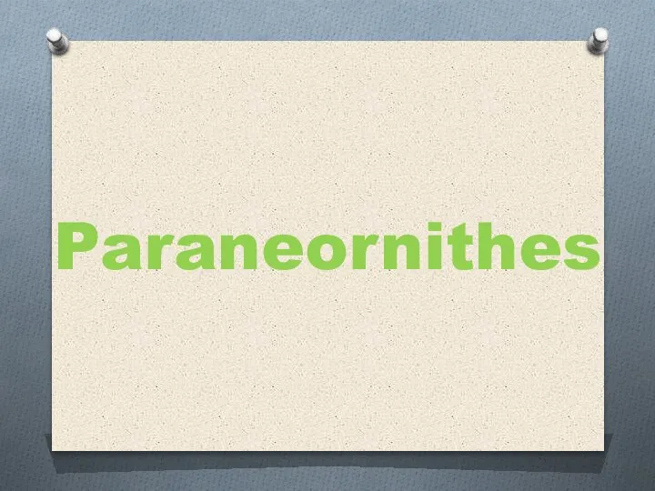 Paraneornithes